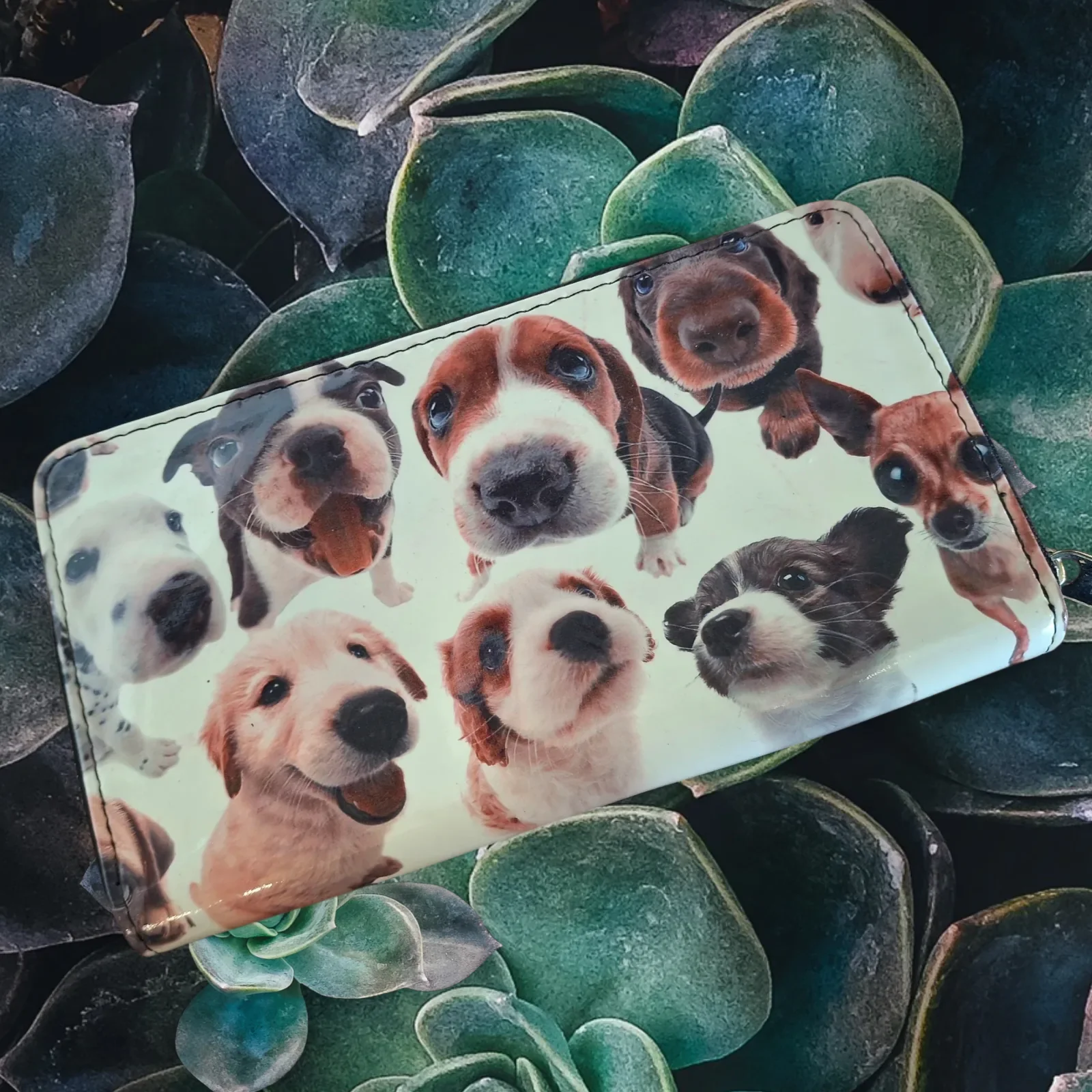 Portefeuille chiens
